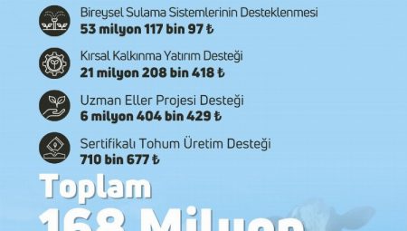 169 milyon TL’lik tarımsal destek hesaplarda