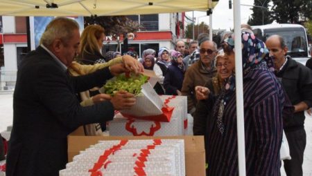 İstanbul’un marul fideleri Bilecik’e dağıtıldı