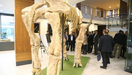 Kayseri Büyükşehir fosil faunasını canlandıracak