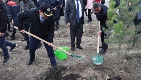 Kütahya Belediyesi’nden Milli Ağaçlandırma Günü’ne destek