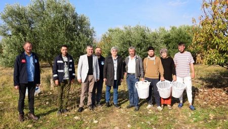 Manisa Turgutlu’da zeytin emekçilerine malzeme