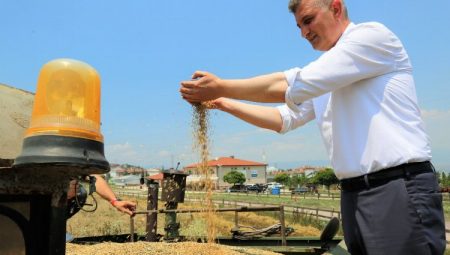 Göcük’te bu kez yem bitkisi yetişecek