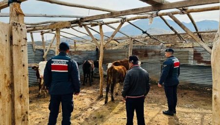 Adıyaman’da Jandarma kaybolan sürüyü İHA ile buldu