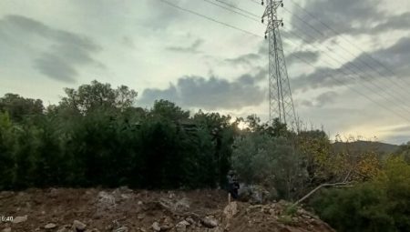 Bodrum’da kaçak inşaatı ağaç dallarıyla gizlemeye çalıştılar