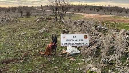 Dargeçit’te 25 kg tuzaklanmış patlayıcı ele geçirildi