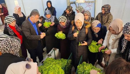 Kocaeli’nde topraksız tarıma kadın çiftçilerden yoğun ilgi