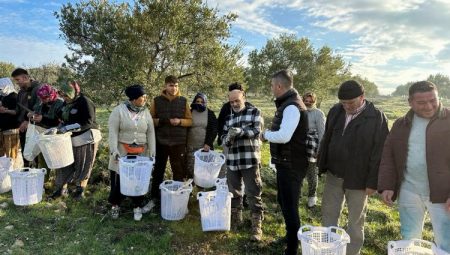 Manisa Akhisar’da zeytin üreticisine koruyucu malzeme