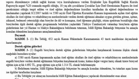 Özel eğitim desteği arttı