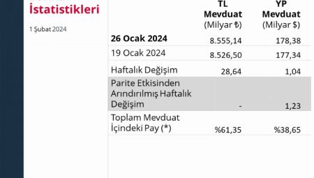 Merkez’in rezervleri geriledi