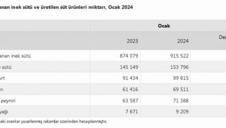 1 milyona yakın inek sütü toplandı