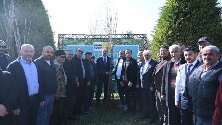 Konya’ya 17 milyon fidan ve fide desteği