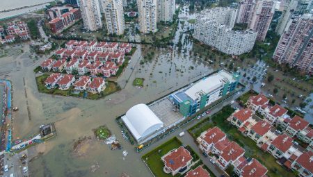 TEMA'dan 31 Mart öncesi 'dirençli' çağrı