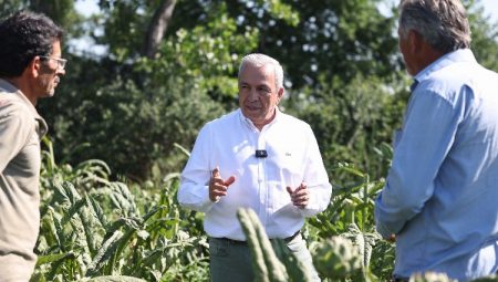 Hasanağalı enginar üreticilerine çağrı