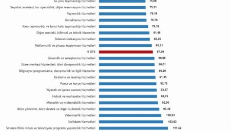 Mesleki ve bilimsel hizmetler revaçta