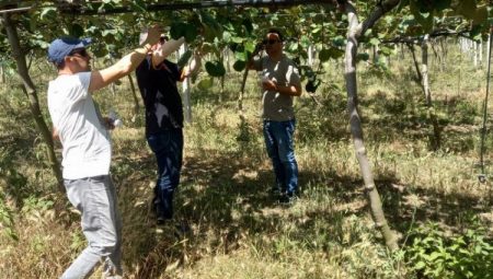 6 bin Samuray Arısı Bursa’da doğaya salındı