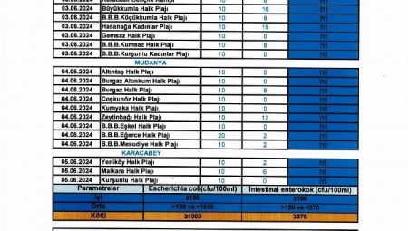 Bursa sahillerinin ilk tur verileri paylaşıldı