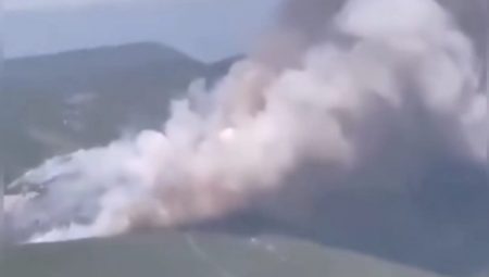 Bursa'da orman yangını!