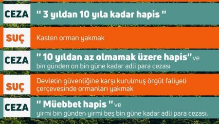 Orman yangınlarına karşı ‘suç’ ve ‘ceza’lar…!