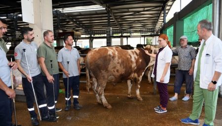 Osmangazi’de Kurban Yakalama Timi göreve hazır