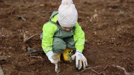 Uludağ Elektrik’ten doğaya anlamlı miras