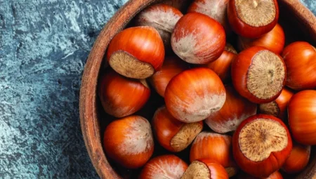 Fındıkta hasat vakti.. Türk fındığı artık bir dünya ürünü