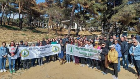 Adilhan’daki ormanı Keşan Orman İşletme Müdürlüğü mü kesti?