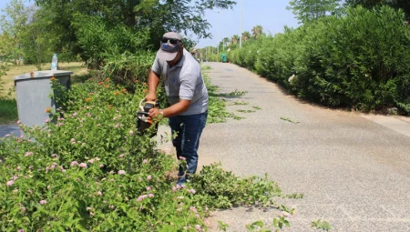 Antalya'nın yeşiline makyaj