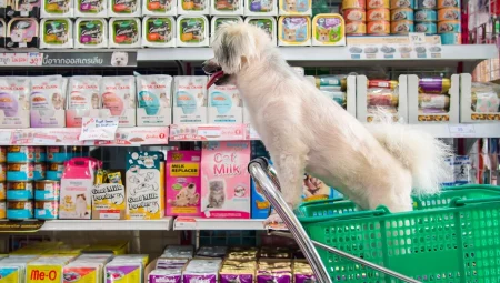 Bursa’da izinsiz petshoplara sıkı denetim