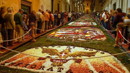 Çiçeğin Rio Karnavalı