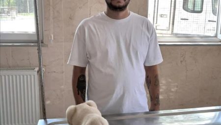 İnegöl’de 266 sokak hayvanı sahiplendirildi