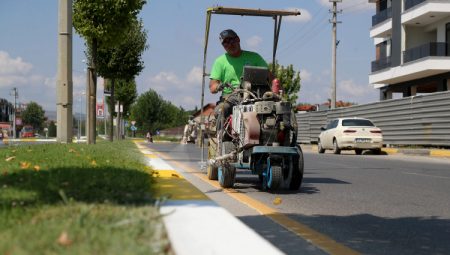 Sakarya’da şehrin merkezindeki iki noktaya renkli dokunuş