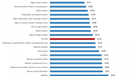 YD-ÜFE Temmuz’da aylık ve yıllık arttı