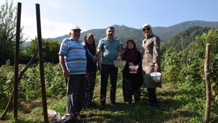 Yıldırım’da tarladan sofraya kadın eli