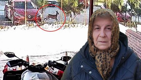 İlçenin tüm kameraları on kaydetti! Gören şaşkına döndü