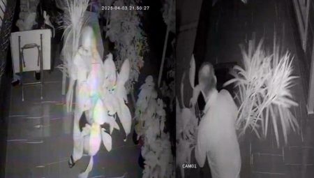 Kedi mamalı tuzak! Yaşlı çiftten şoke eden plan kameraya takıldı