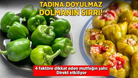 Tadına doyulmaz dolmanın sırrı! 4 faktöre dikkat eden mutfağın şahı: Direkt etkiliyor