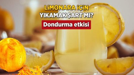Yazın ferahlamak için kıştan saklayın! Buzlukta bekletin, altın kıymetinde limonata tanımı