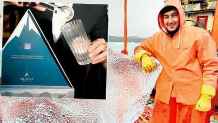 6 küp Grönland buzu 100 dolar