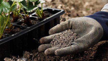 Bitkileri gübrelemenin en hakikat zamanı! Besleyen yaşadı, solucan gibisi yok