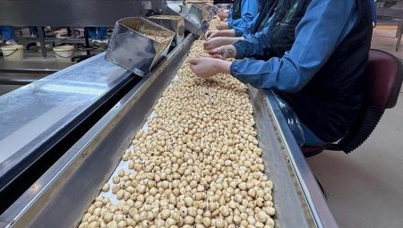 Fındık üreticilerine “dengeli gübreleme yapın” önerisi