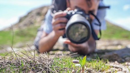 56’ncı tıp Türkiye’de kaydedildi! Dokunmanın bedeli servet pahasında