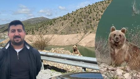 Ayı görüntüleme macerasının sonu! Kamerayı açıp yanına yaklaştı