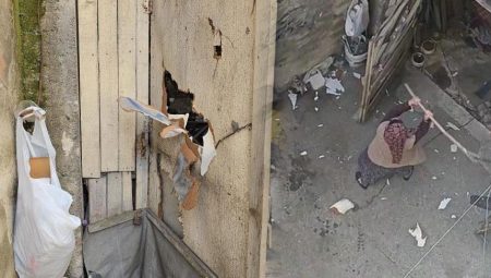 Dehşet dolu anlar! Hudut krizi geçirip kürekle saldırdı