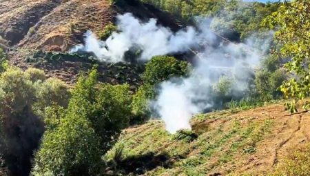 Diyarbakır’da 7 milyon 543 bin kök kenevir ve skunk ele geçirildi