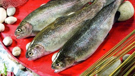 Doğu Karadeniz’in Türk somonu ihracatı 35,8 milyon doları aştı