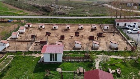 Dünyada eşi gibisi yok! Ünü ülke hudutlarını aştı: Suudi Arabistan, Katar, BAE peşinde…