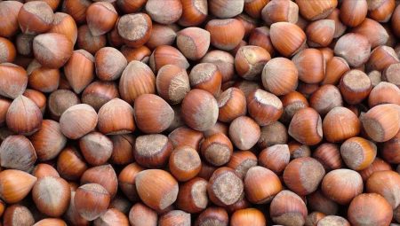 Fındık ihracatından 852 milyon dolarlık gelir