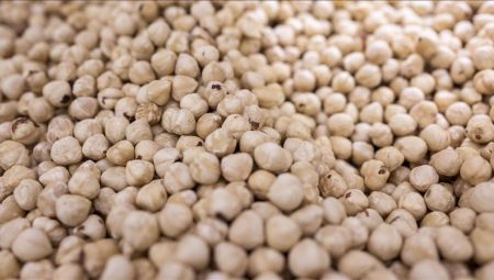 Fındık ihracatının yüzde 35’i Trabzon’dan yapıldı