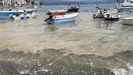 Kabus geri mi dönüyor? Marmara Denizi’nde korkutan manzara