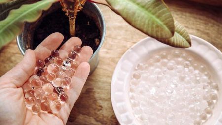 Kendi kendini sulayan çiçek hayal değil! Kristaller bir öbür, asla kurutmuyor